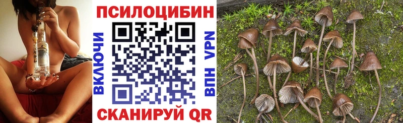 Галлюциногенные грибы Cubensis Кандалакша
