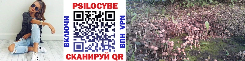 Псилоцибиновые грибы Psilocybe  Кандалакша 