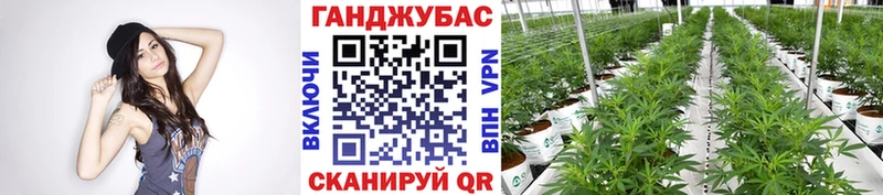 Бошки марихуана тримм Кандалакша